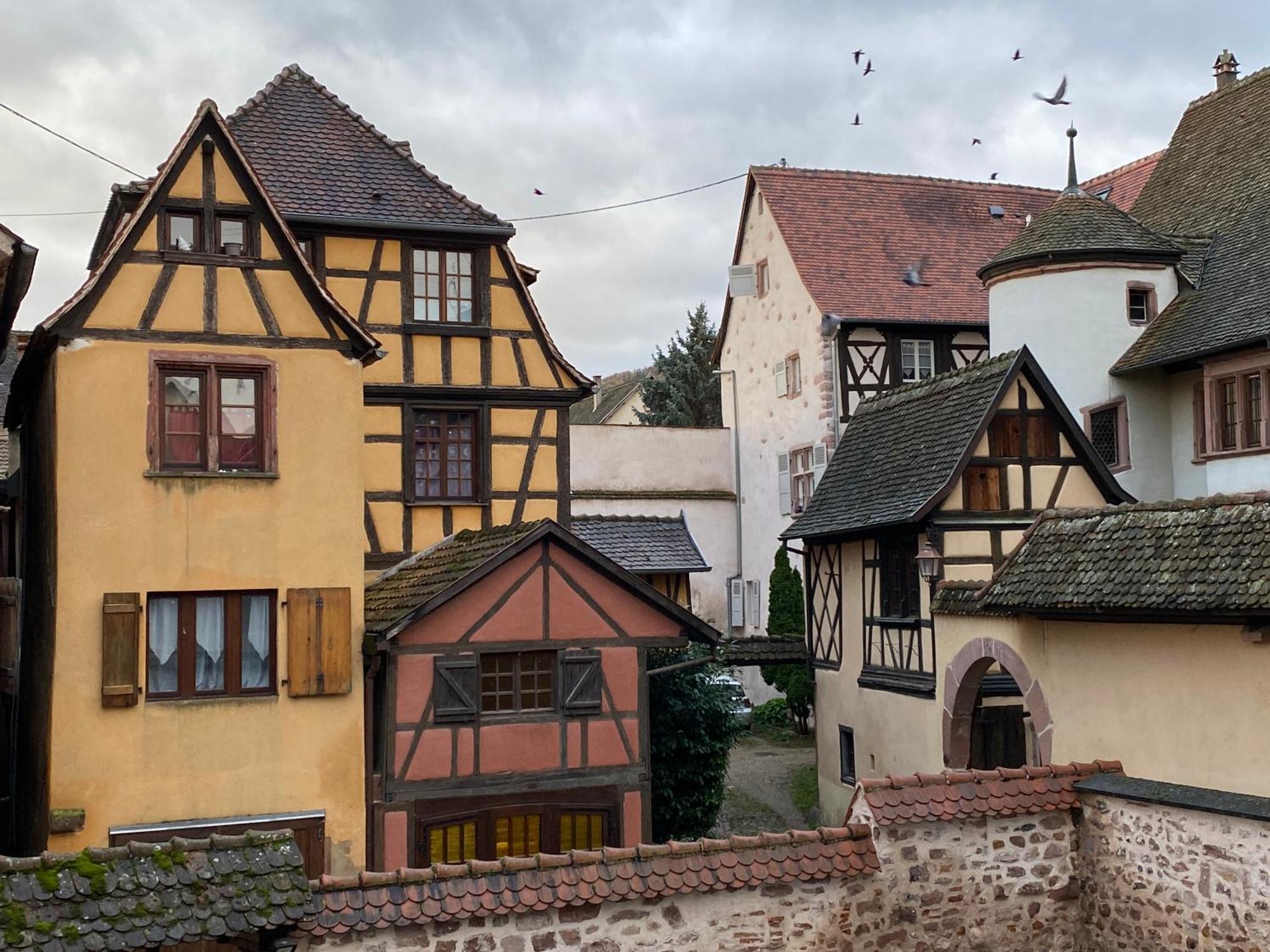 Laterale Residences Riquewihr Bagian luar foto